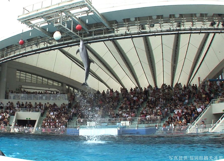 マリンワールド海の中道