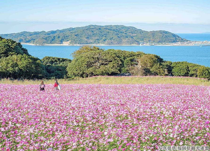 のこのしまアイランドパーク