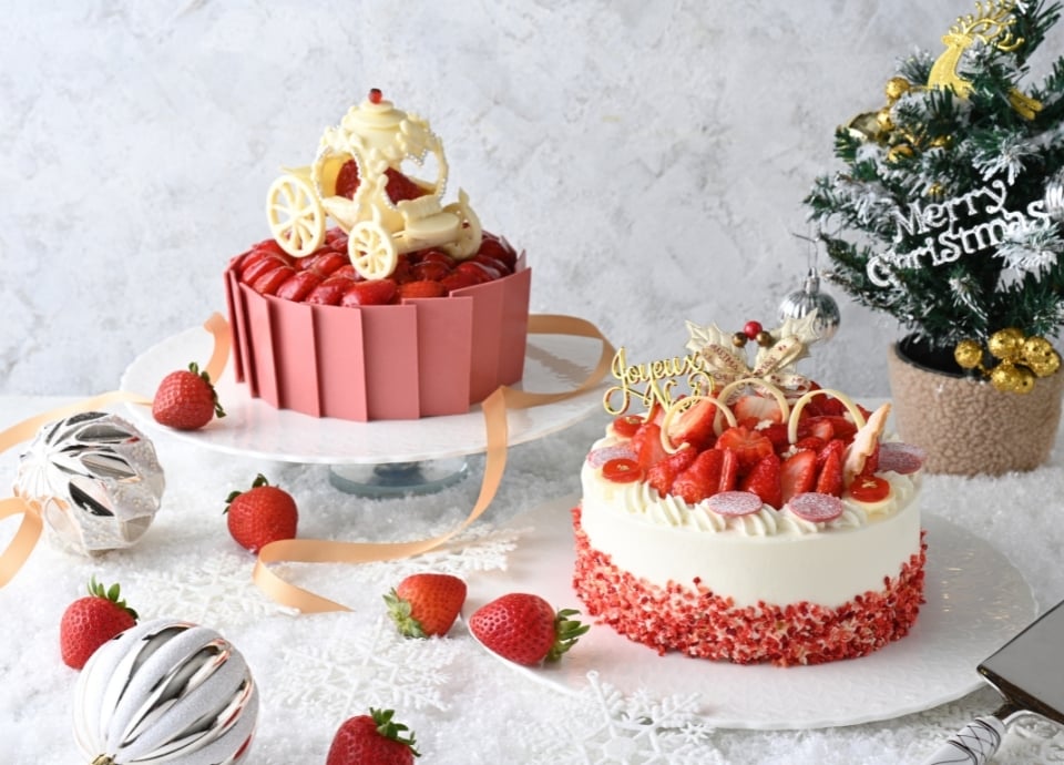 christmascake2026-syugo