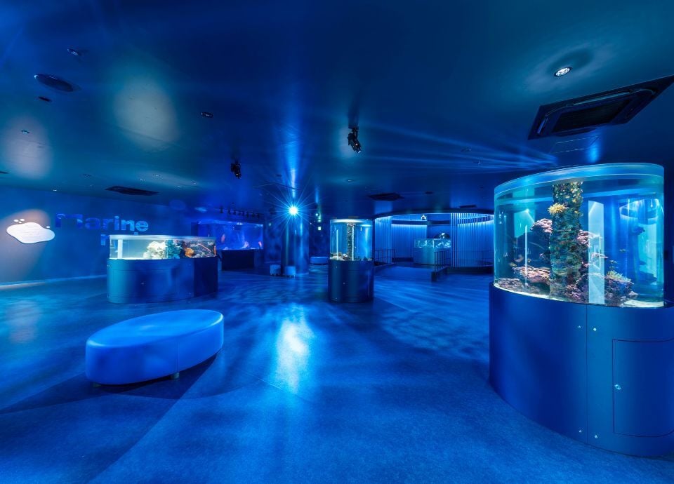 hiroshimamotomachiaquarium-image1