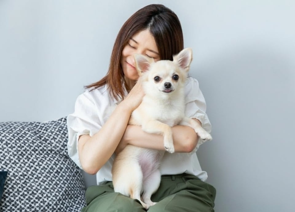 petfriendlyroom_web_1