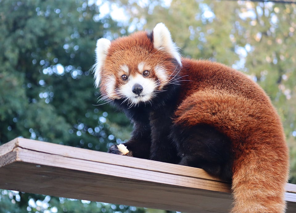 天王寺動物園
