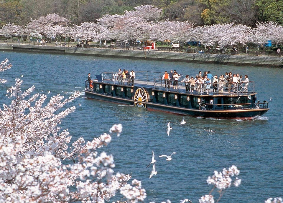 クルーズイメージ