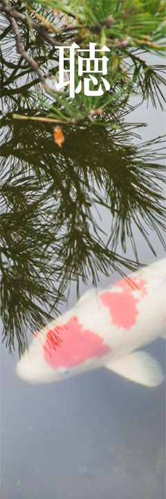 写真：聴サムネイル画像