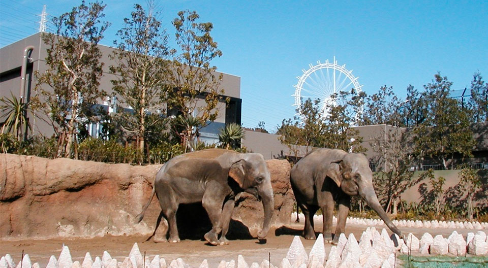 到津の森公園