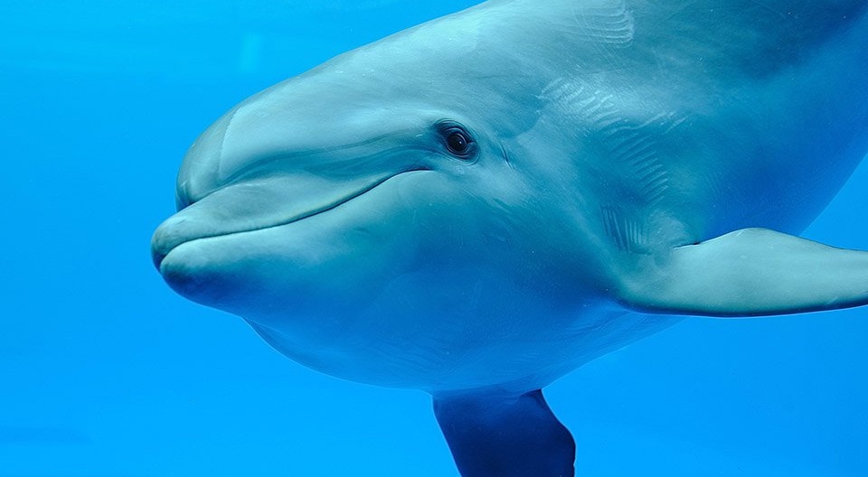 京都水族館