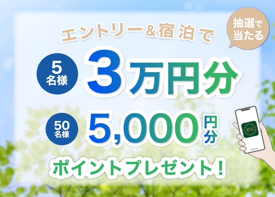 ポイントプレゼント