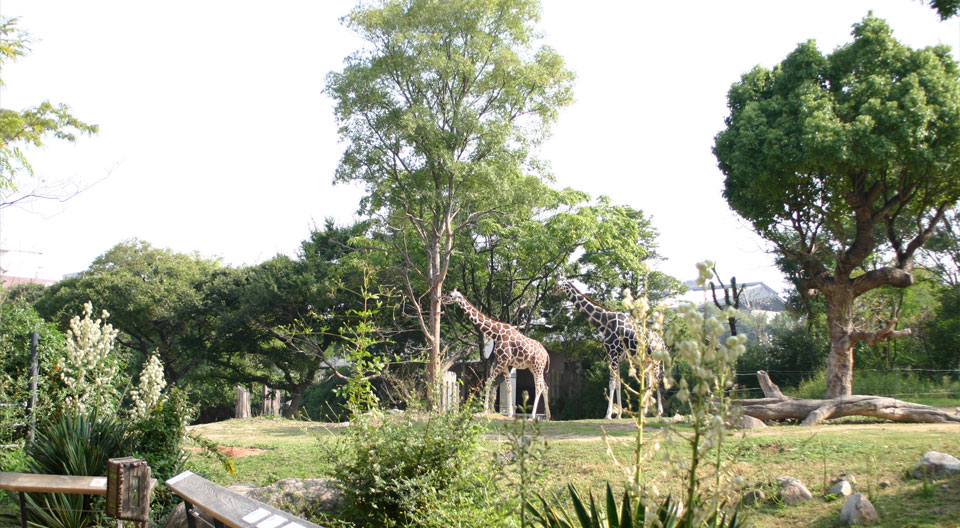 天王寺動物園