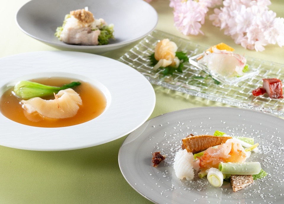 ［3・4月］木蓮 